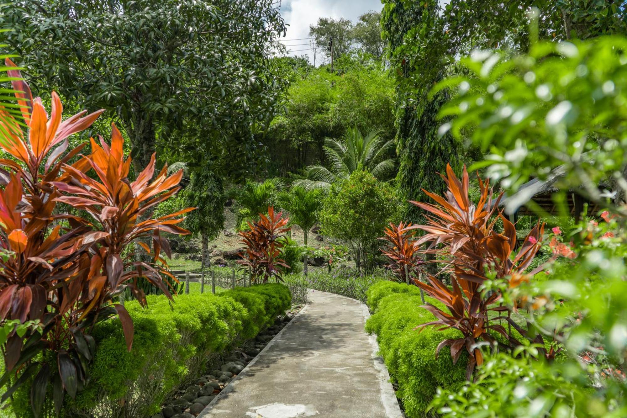 The Hawk'S Nest Resort ซาบัง ภายนอก รูปภาพ
